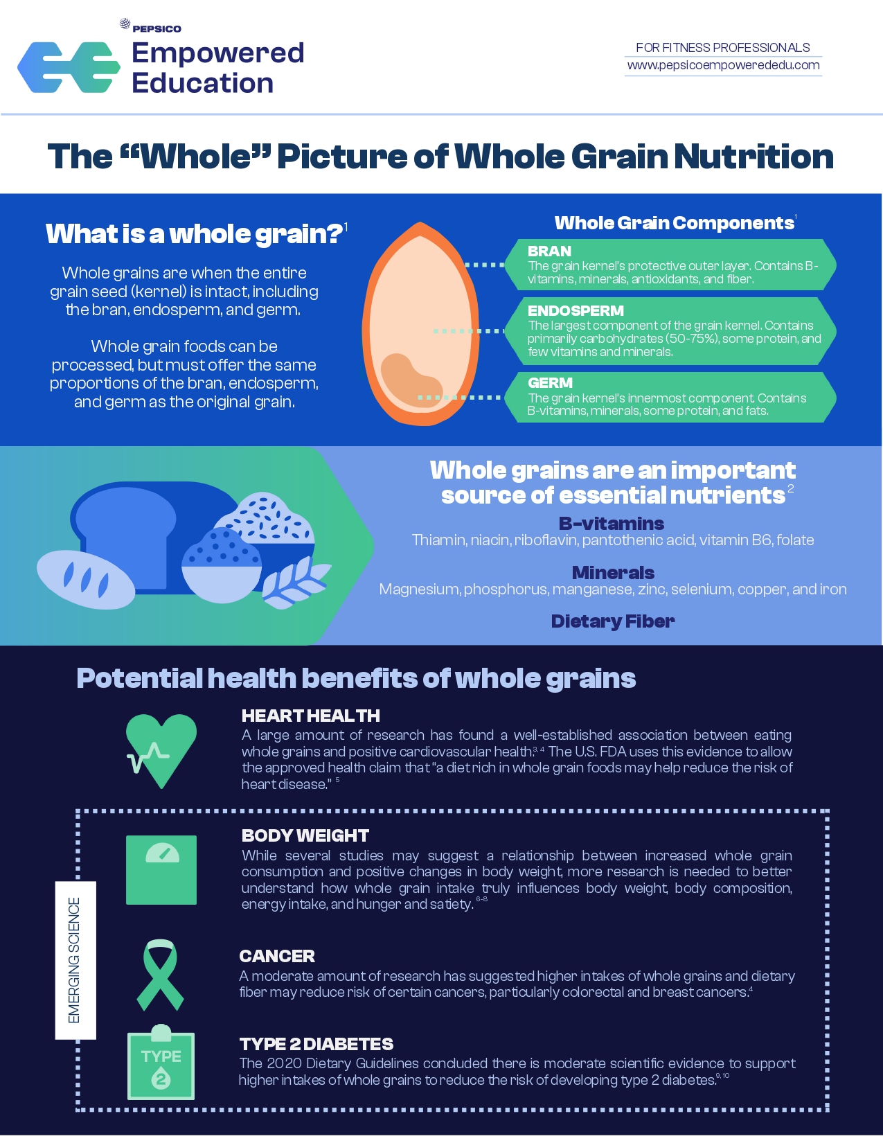 The “Whole” Picture of Whole Grain Nutrition